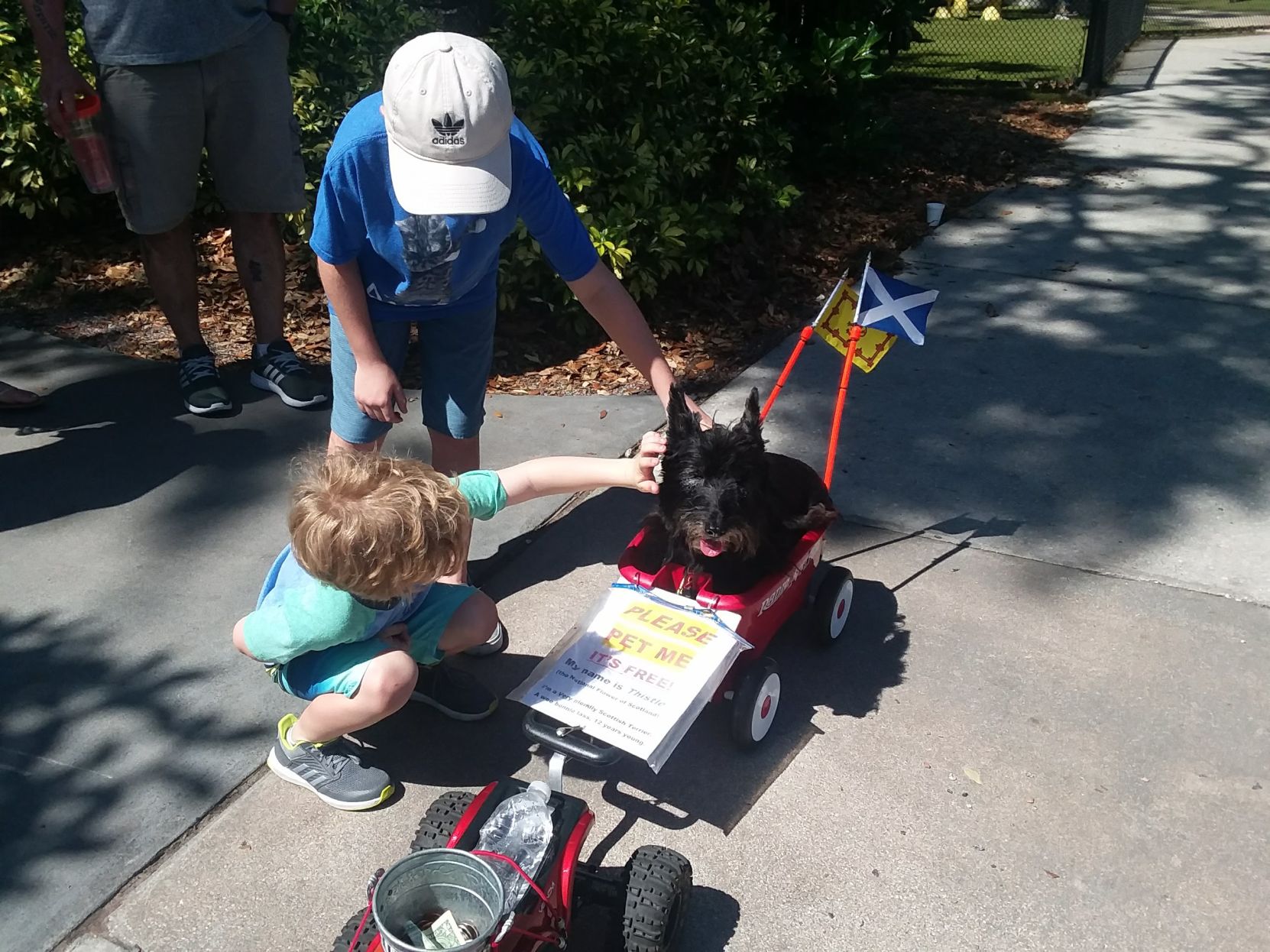p-largo-pawfest7.jpg
